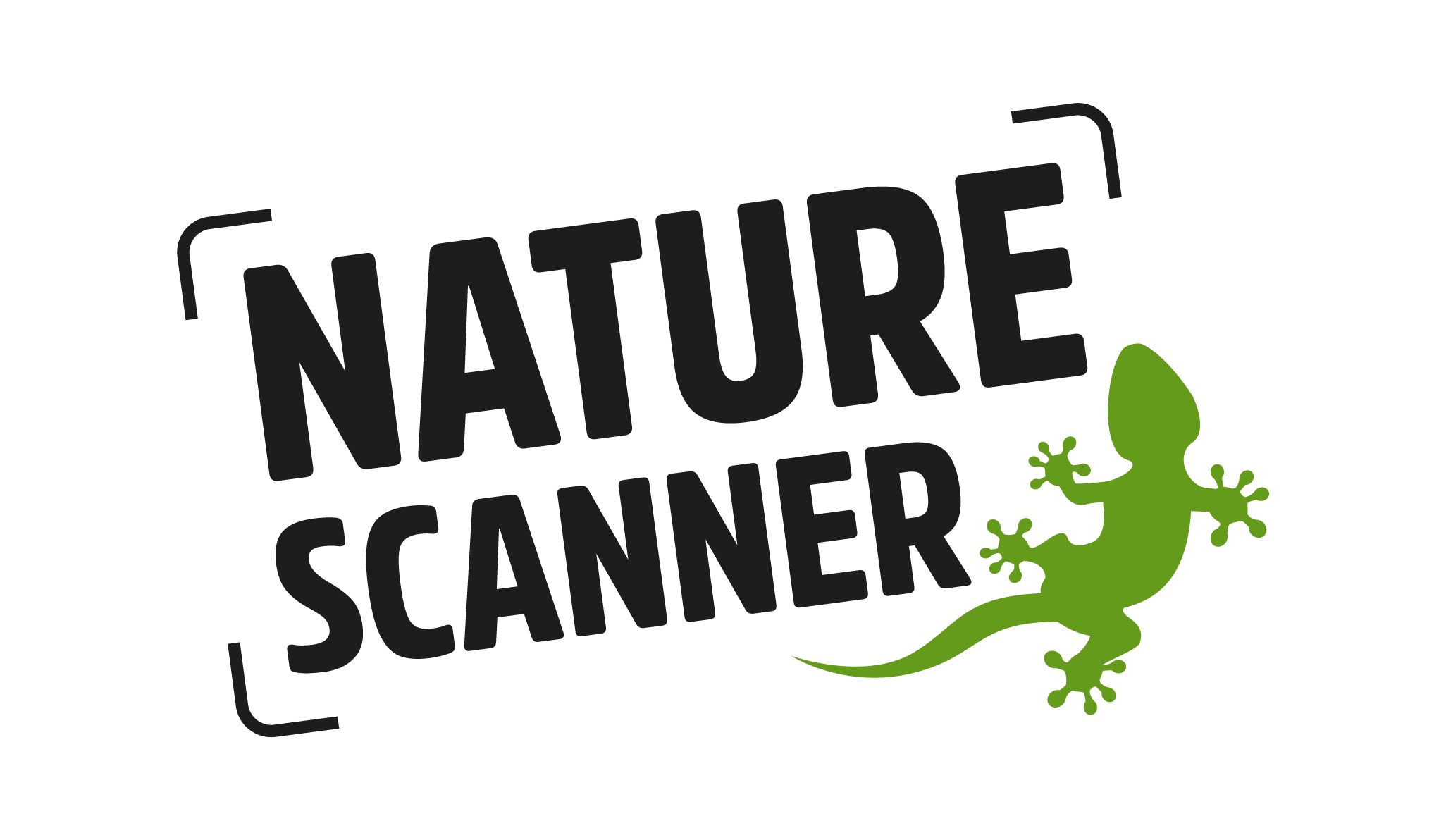 Logo Webscanner