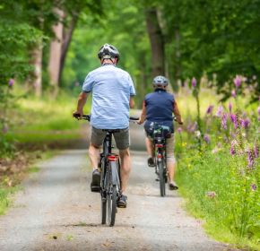 CBR verbetert informatie over rijden met een aandoening