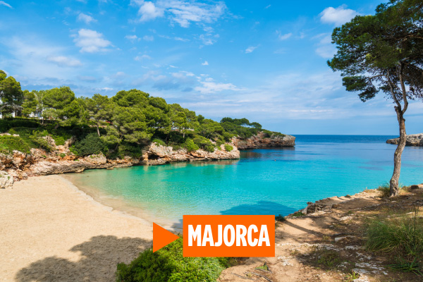 A small, secluded beach in Majorca with golden sand, radiant blue waters and a tree atop a rocky outcrop