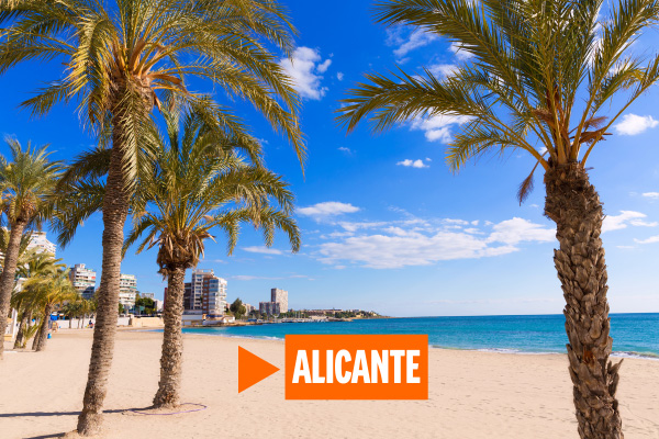 Palm trees on beach in Alicante
