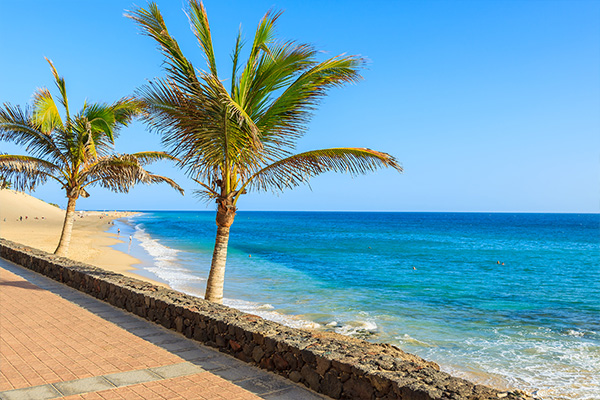 Beach with palm trees and a wall in Fuerteventura
