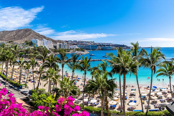 Beach with palm trees in Gran Canaria