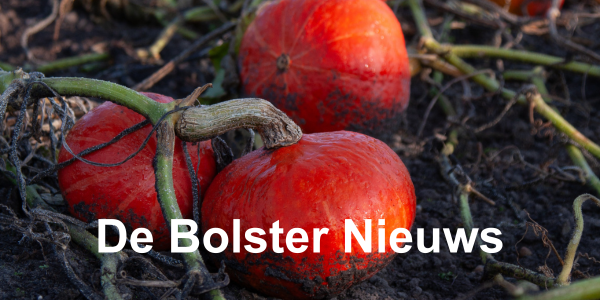JOUW_ALTERNATIEVE_TEKST