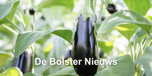 JOUW_ALTERNATIEVE_TEKST