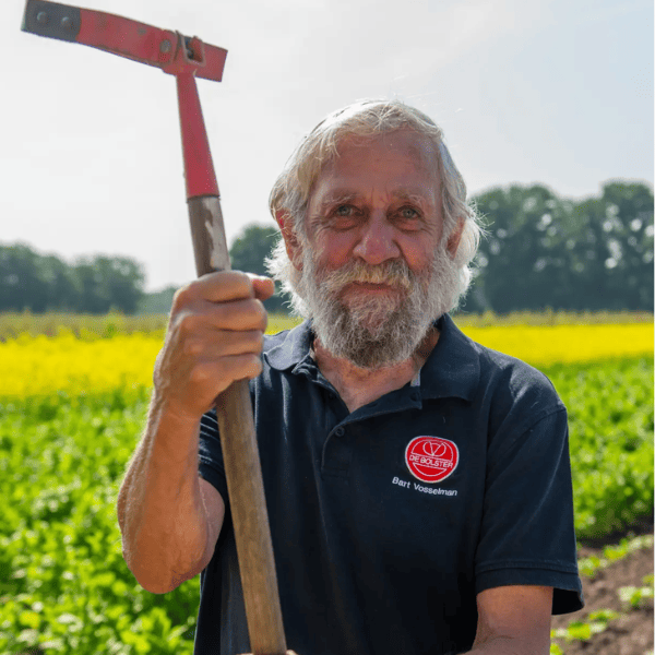 De kracht van innovatie