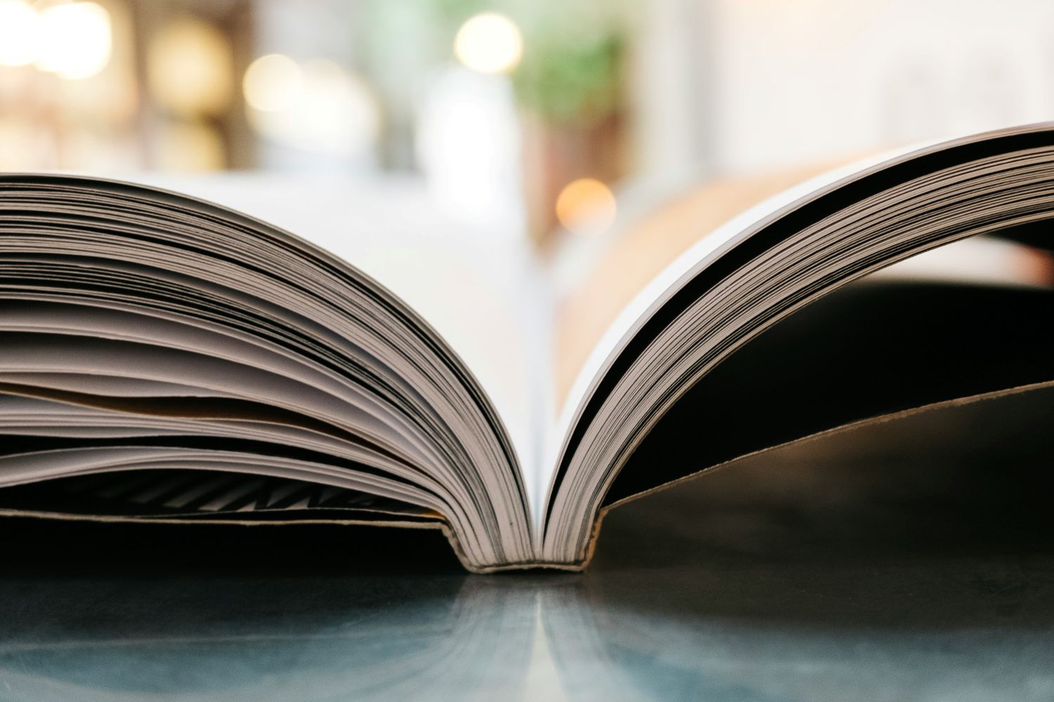 spreker Kathelijne de Vuyst leest uit een gedichtenbundel