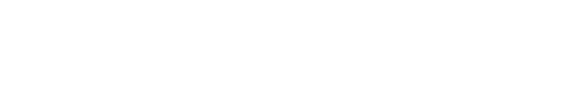 TU Delft Safety & Security Institute