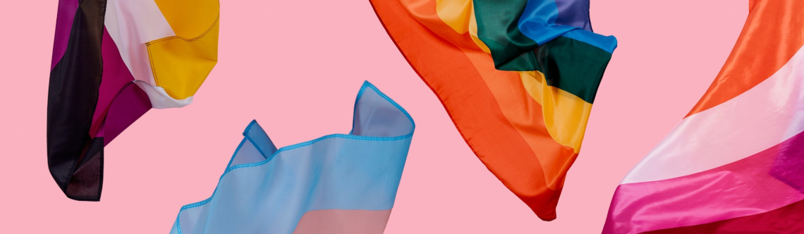 Vier verschillende Pride vlaggen wapperen tegen een roze achtergrond.