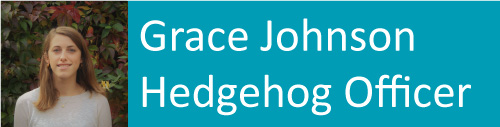 Hedgehog Officer Grace