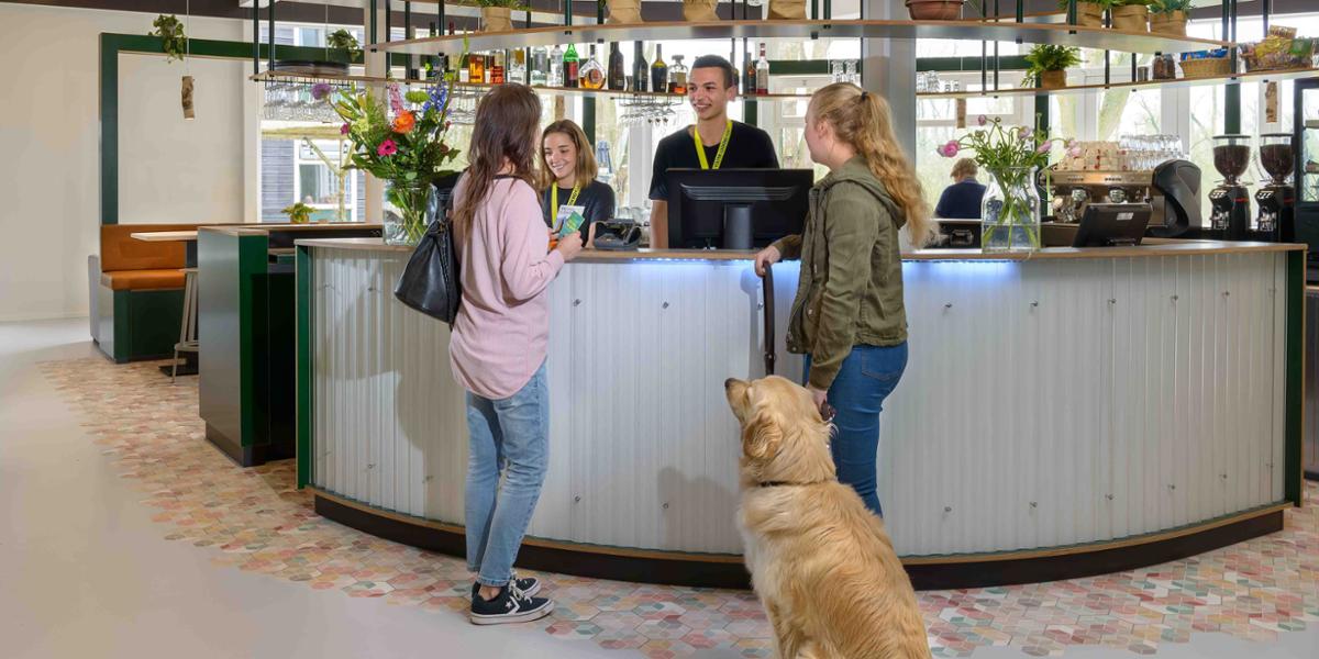 stayokay_dordrecht__hond_zonder_tong0.jpg