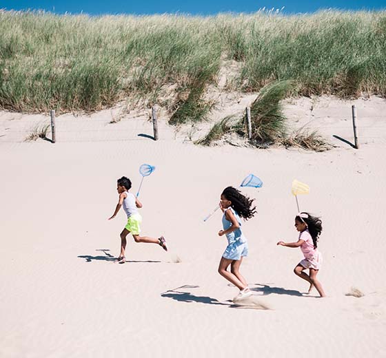 zomer_560x520.jpg
