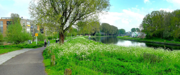 Campagnebeeld van een ondernemers in een oranje hesje