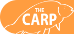 The Carp Specialist