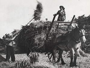 Boerin op hoogkar © Gaston Remery | Brabant-Collectie, Tilburg University