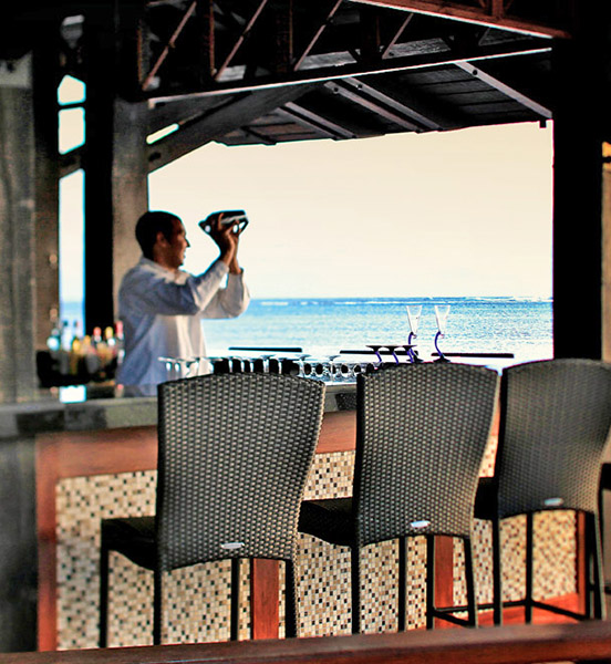 552x600_le_telfair_mauritius.jpg