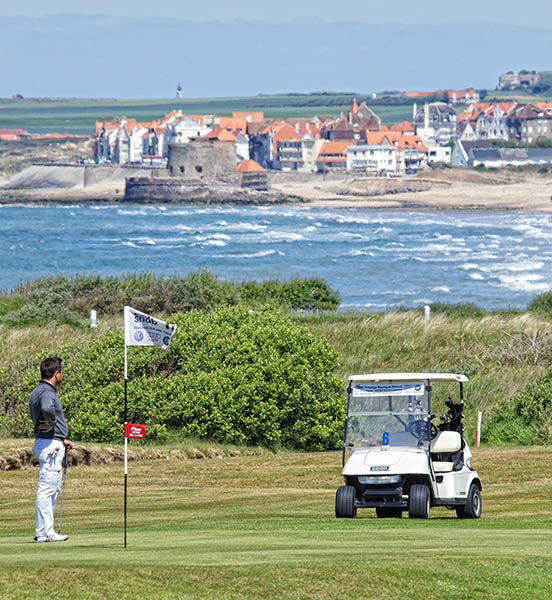 552x600_la_matelota_wimereux.jpg