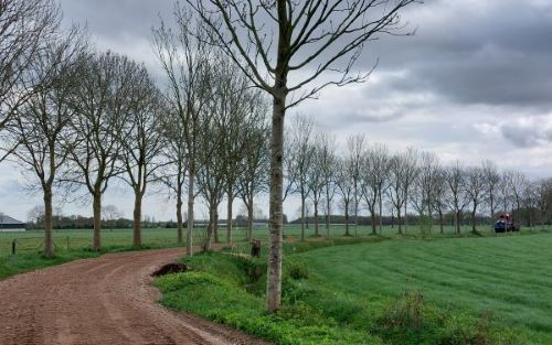 Zandpad gezien vanaf de Belversedijk. Er is net een laagje puinverharding aangebracht