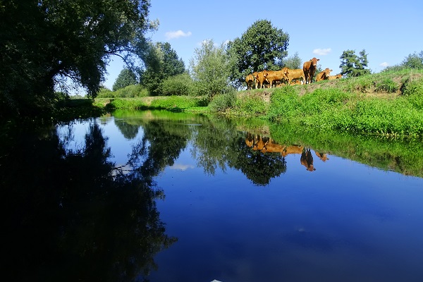 De Dommel door Sint-Oedenrode