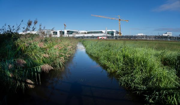 De beek de Run tusen Heers en Dommel