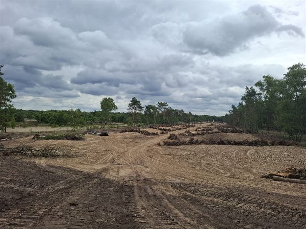 Herinrichting Stratumse Heide 