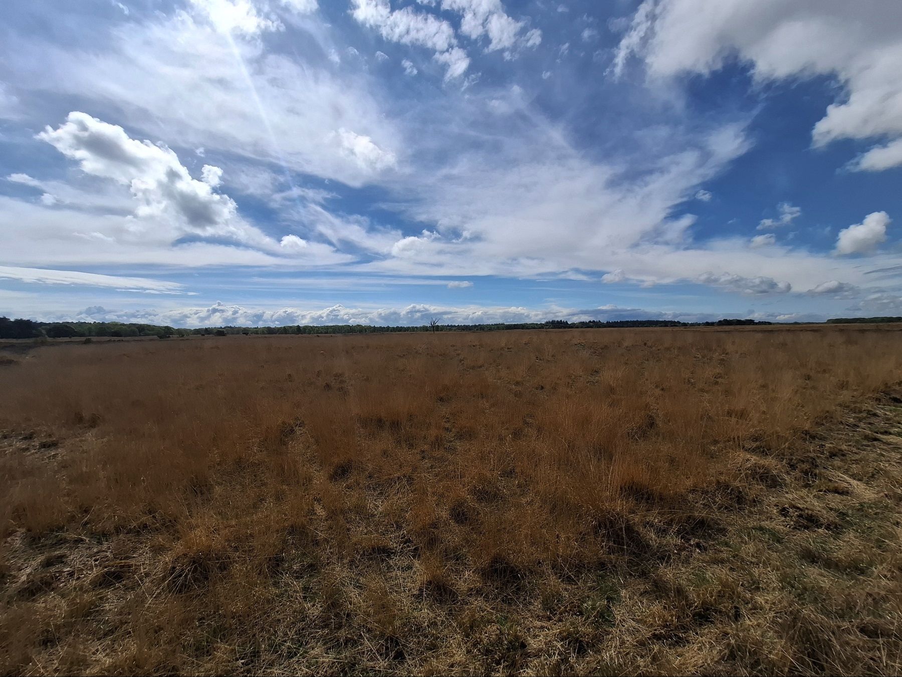 Natura2000-gebied Regte Heide en Riels Laag