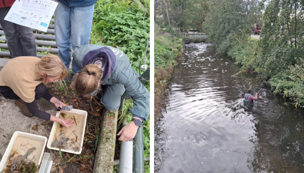 Waterdiertjes scheppen uit de Zandleij