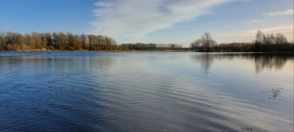 Hoogwater in de Dommel bij Oud Herlaer, december 2023