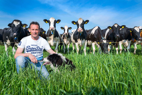Boer Pierre met koeien