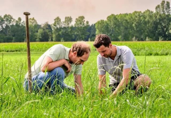 Gewassen in Middelbeers