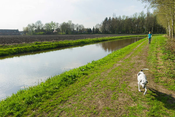 Persoon met hond tijdens een wandeling op natuurgrond
