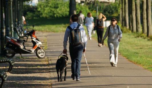 Man met assistentiehond loopt op straat. Op de achtergrond andere voetgangers.
