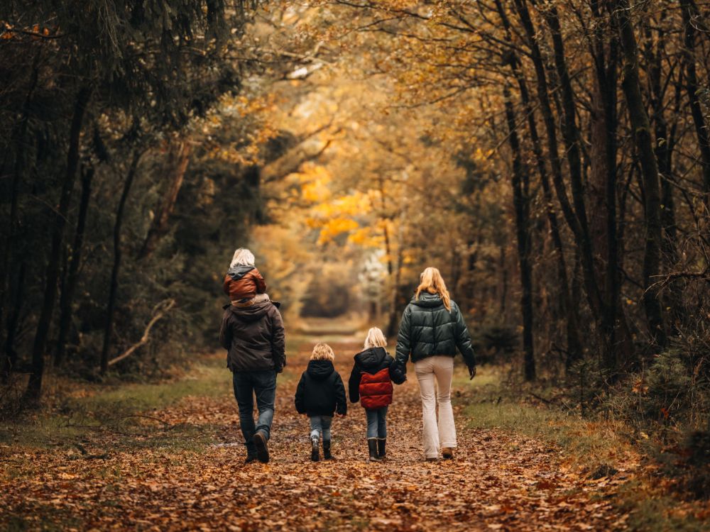 herfst0.jpg