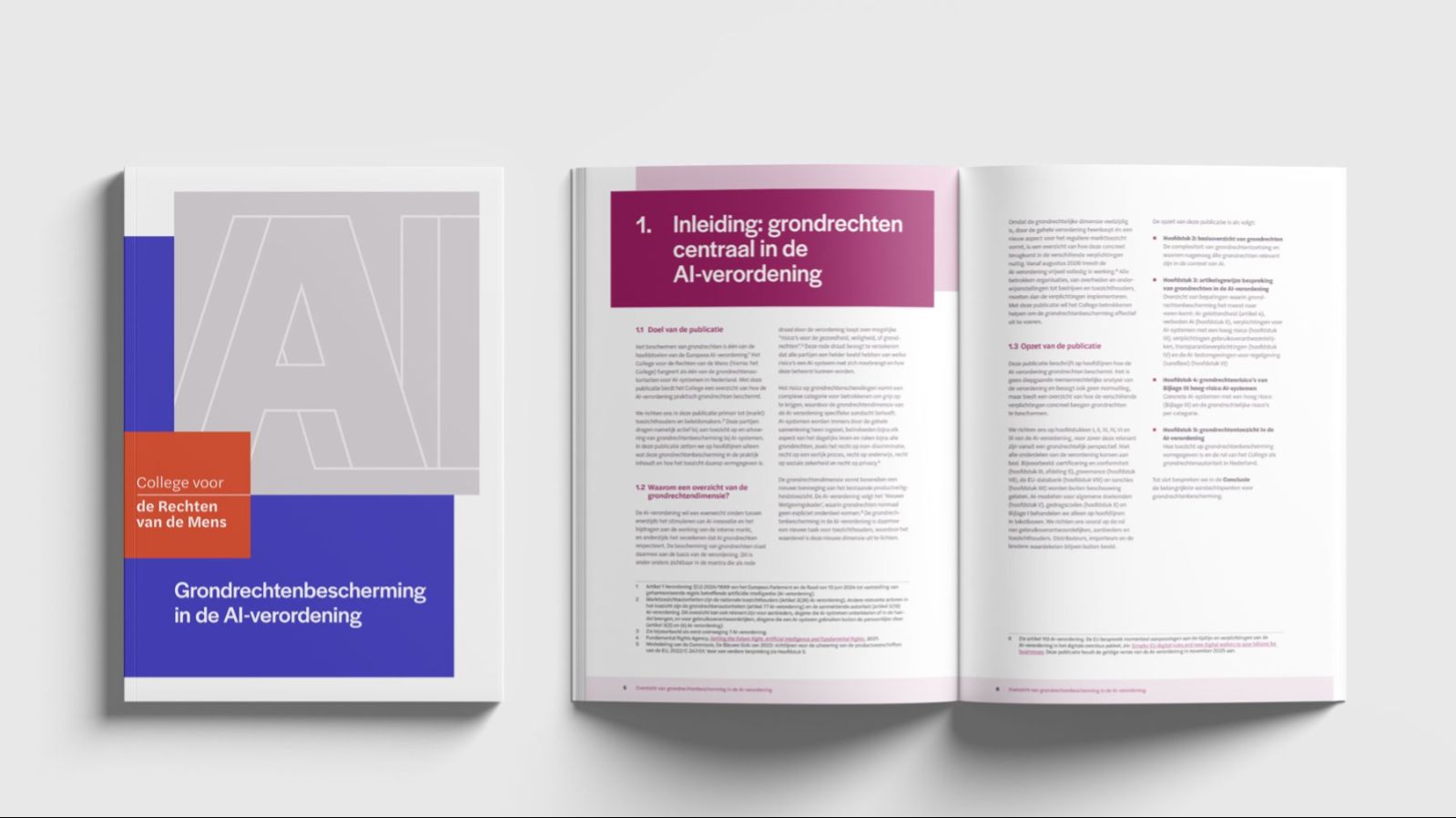Voorkant rapport 'Grondrechtenbescherming in de Europese AI-verordening'