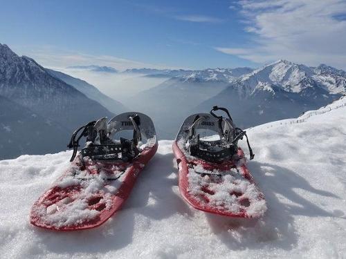Sneeuwschoenwandelen