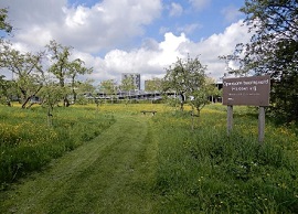foto van het stadspark
