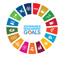 logo sustainable development goals