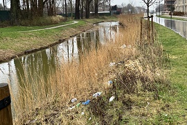 water en talud. In het gras ligt veel zwerfaval.