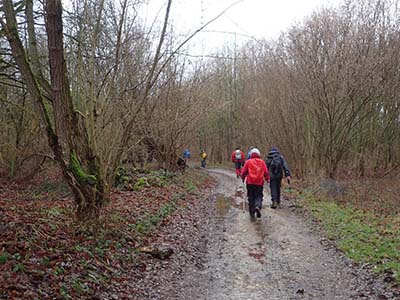Wandelen