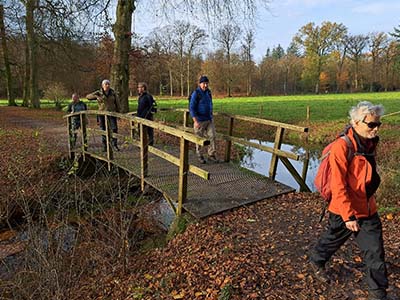 Wandelen