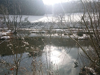 Nieuwjaarsbijeenkomst