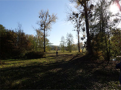 Weekendwandeling