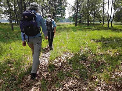 Wandeling Ter Braakloop