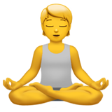 person_in_lotus_position_1f9d8.png