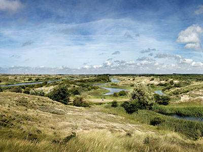 Amsterdamse Waterleidingduinen
