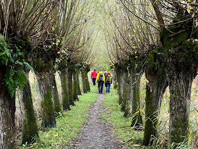 Wandeling Biesbosch