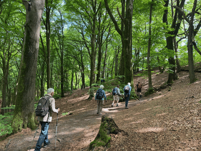 Wandelen