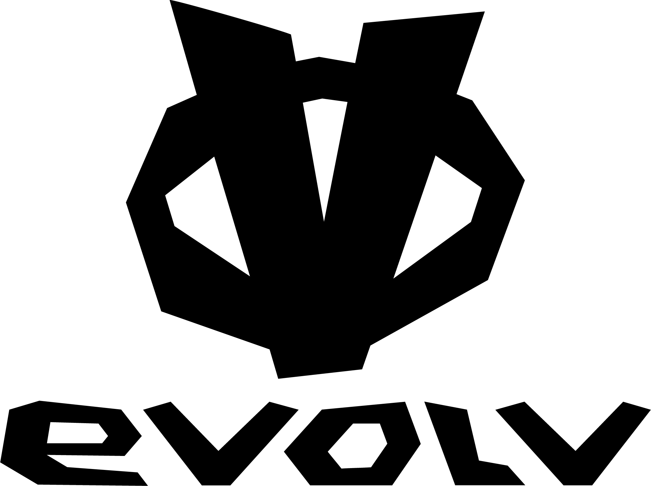 Logo Evolve