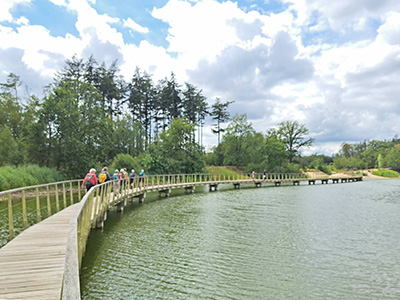 Wandelen