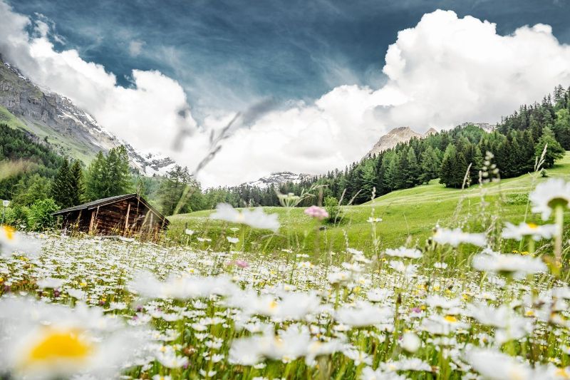 berner oberland