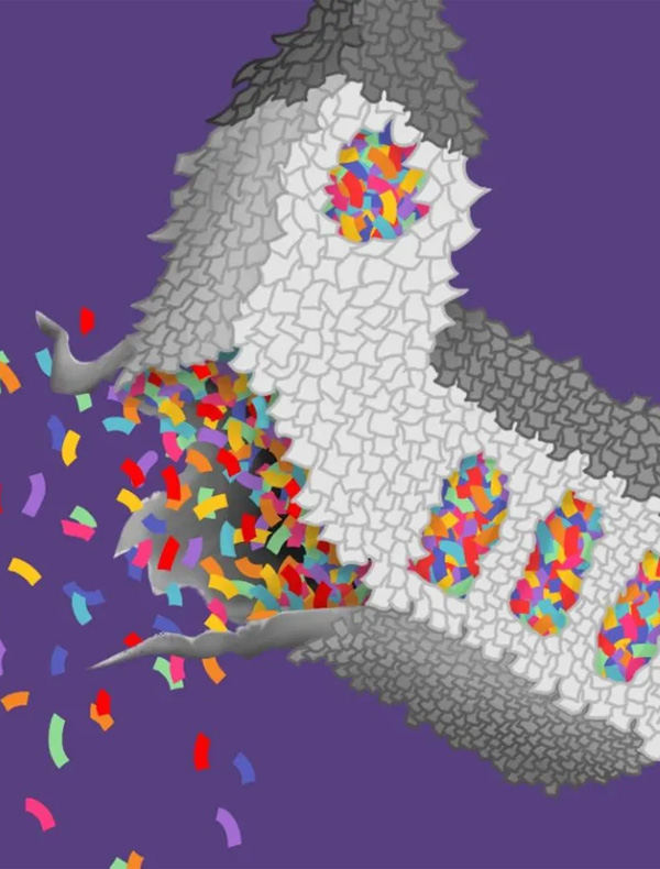 Festival Musica Sacra